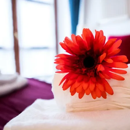 Airguest Crocetta Loft-3